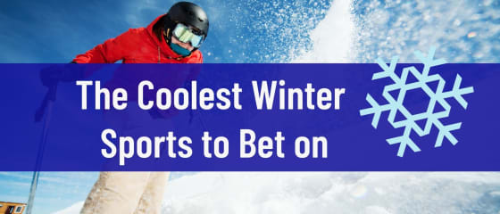 Самые крутые зимние виды спорта, на которые можно делать ставки