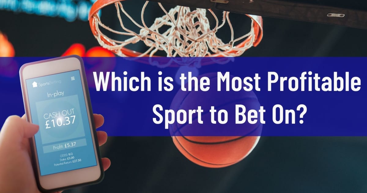 На какой вид спорта выгоднее всего делать ставки?