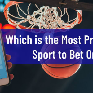 На какой вид спорта выгоднее всего делать ставки?